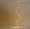 Fairy Lights