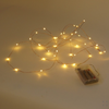 Fairy Lights