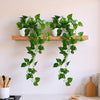 Decorative Centerpieces for Home and Office Use